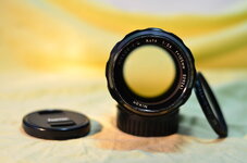 ARA_6535 (FILEminimizer).JPG