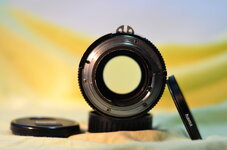 ARA_6536 (FILEminimizer).JPG