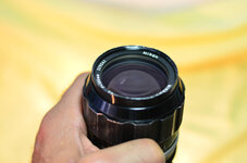 ARA_6538 (FILEminimizer).JPG