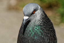 111%_Crop-Bild.jpg
