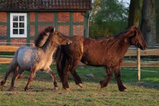 IMG_1902 kleiner.jpg