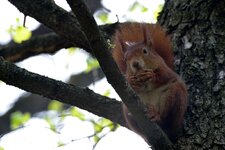 comp_DSC_0320.jpg