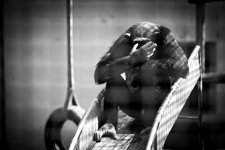 IMG_6236_1200x.jpg