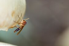 IMG_5858unterbelihtet.jpg