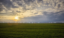 Emmett-Black-Feld-m-Himmel.jpg