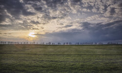 Emmett-Black-Feld-m-HimmelAufgang.jpg