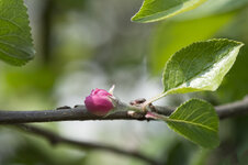 DSLR_KHA_8772.JPG