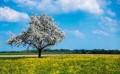 20140426-MME29526.jpg