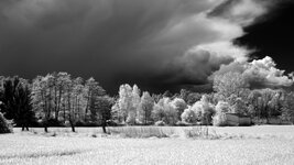 _DSC03956.jpg