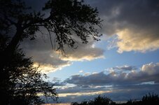 DSC_1455_1.jpg