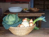 P1010170verkl_li-10.jpg