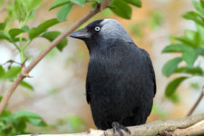 IMG_7534-Bearbeitet.jpg IMG_7534-Bearbeitet.jpg