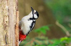 IMG_7543-Bearbeitet.jpg IMG_7543-Bearbeitet.jpg