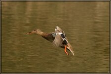 IMG_8791.jpg
