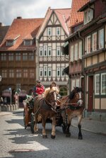 kleingerechnet_IMG_9908-1.jpg
