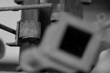 comp_8L1A4077 BW.jpg