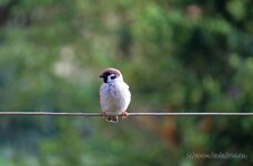 comp_1IMG_0033-1.jpg