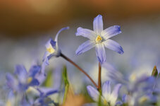 DSC_9305_forum.jpg