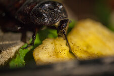 IMG_7705 1024pix.jpg