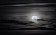 MoonriseSW.jpg