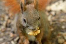 comp_DSC_1704.jpg