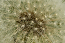 IMG_5655.jpg