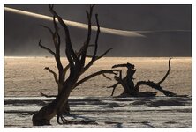 Dead Vlei2.jpg