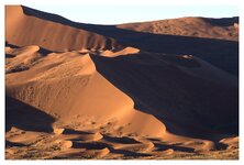 Dead Vlei3.jpg