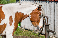 2014_05_25_5050-2.jpg