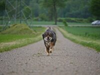 Dörthe 2.0.JPG