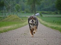 Dörthe 2.2.JPG