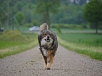 Dörthe 2.3.JPG