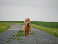 Missy 5.JPG