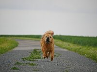 Missy 6.JPG