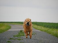 Missy 7.JPG