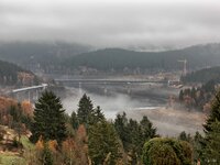 _IMG_3772.jpg