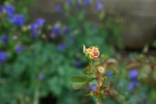 FN140517 0016 C1.jpg