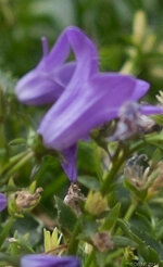 DSCF7087.jpg
