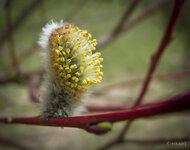 20130402-IMGP0160.jpg