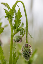 2014_05_29_5183-3.jpg