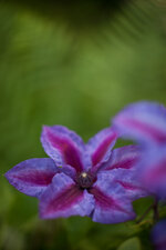 f_MG_5420.jpg