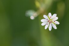MM_20140531_7884-Bearbeitet.jpg