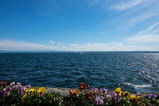 DSCF1137-1.jpg