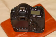 _MG_9376.jpg