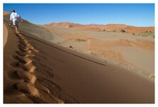 Unterwegs in der Namib1.jpg