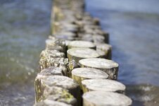 IMG_1681.jpg