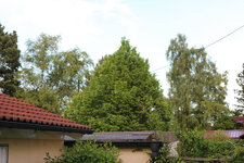 IMG_1828#.jpg