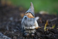 Gartenzwerg.JPG