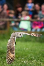 comp_IMG_0644-Bearbeitet.jpg