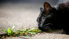 _MG_3652.jpg